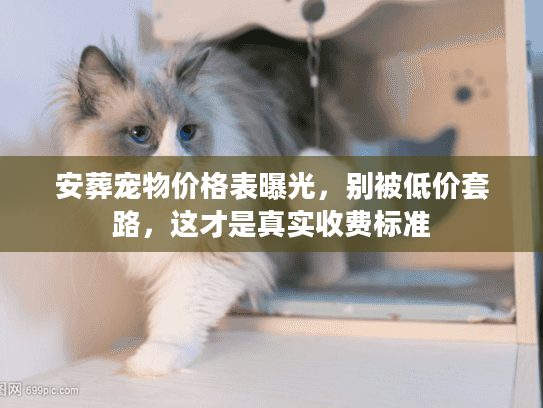 安葬宠物价格表曝光,别被低价套路,这才是真实收费标准 安葬宠物价格表曝光,别被低价套路,这才是真实收费标准
