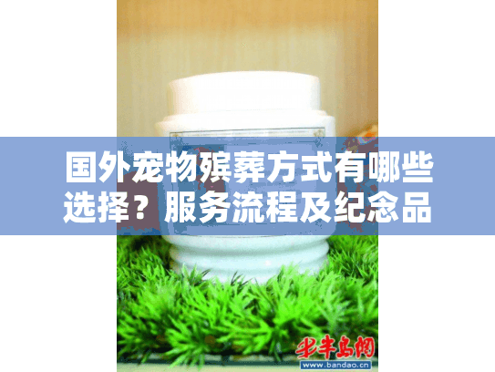 国外宠物殡葬方式有哪些选择？服务流程及纪念品详解