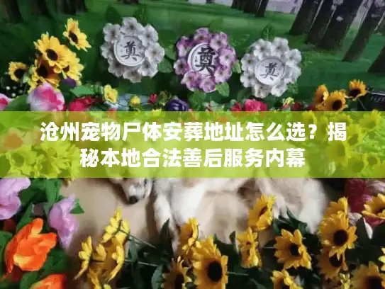 沧州宠物尸体安葬地址怎么选?揭秘本地合法善后服务内幕 沧州宠物尸体安葬地址怎么选?揭秘本地合法善后服务内幕