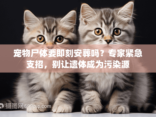 宠物尸体要即刻安葬吗？专家紧急支招，别让遗体成为污染源