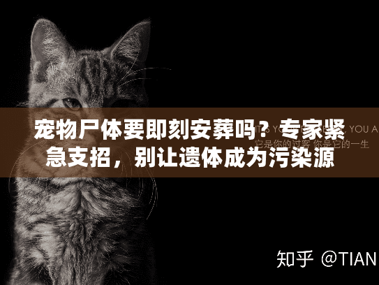 宠物尸体要即刻安葬吗？专家紧急支招，别让遗体成为污染源