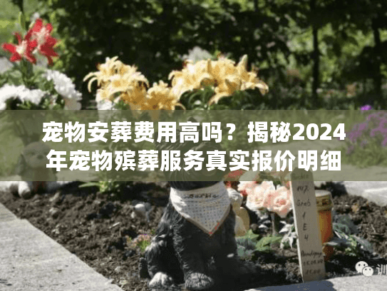宠物安葬费用高吗？揭秘2024年宠物殡葬服务真实报价明细