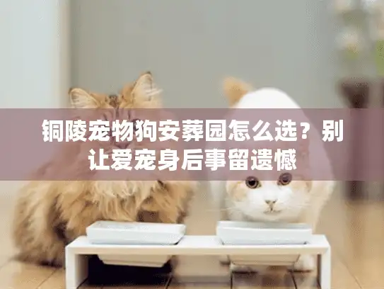 铜陵宠物狗安葬园怎么选?别让爱宠身后事留遗憾 铜陵宠物狗安葬园怎么选?别让爱宠身后事留遗憾