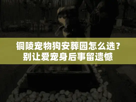 铜陵宠物狗安葬园怎么选?别让爱宠身后事留遗憾 铜陵宠物狗安葬园怎么选?别让爱宠身后事留遗憾