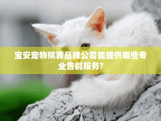 宝安宠物殡葬品牌公司能提供哪些专业告别服务?