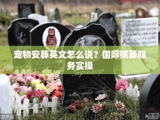 宠物安葬英文怎么说？国际殡葬服务实操