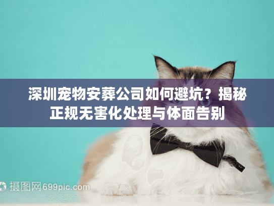 深圳宠物安葬公司如何避坑？揭秘正规无害化处理与体面告别