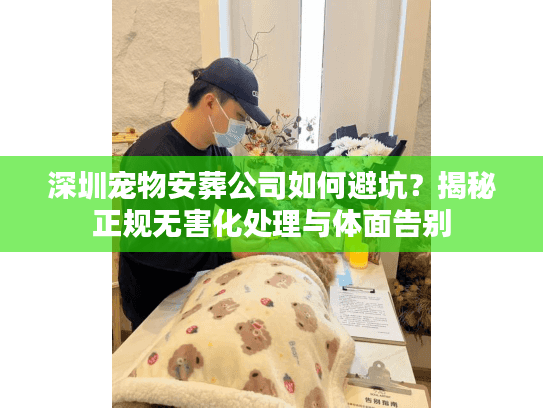 深圳宠物安葬公司如何避坑？揭秘正规无害化处理与体面告别