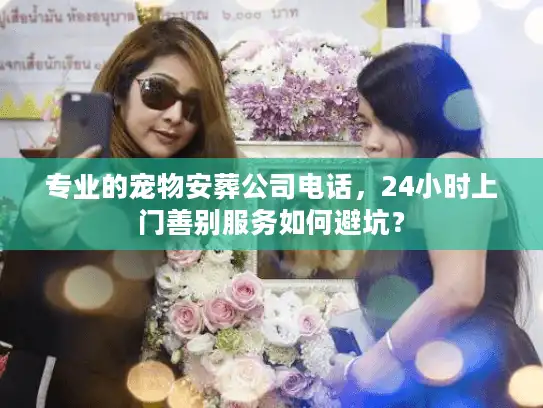 专业的宠物安葬公司电话，24小时上门善别服务如何避坑？