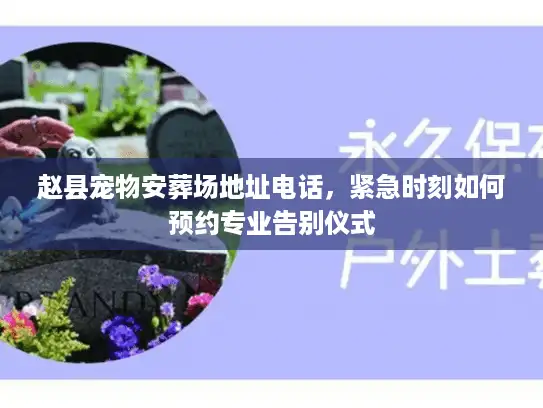 赵县宠物安葬场地址电话，紧急时刻如何预约专业告别仪式