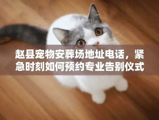 赵县宠物安葬场地址电话，紧急时刻如何预约专业告别仪式
