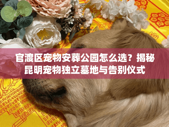 官渡区宠物安葬公园怎么选？揭秘昆明宠物独立墓地与告别仪式