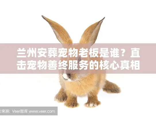 兰州安葬宠物老板是谁？直击宠物善终服务的核心真相