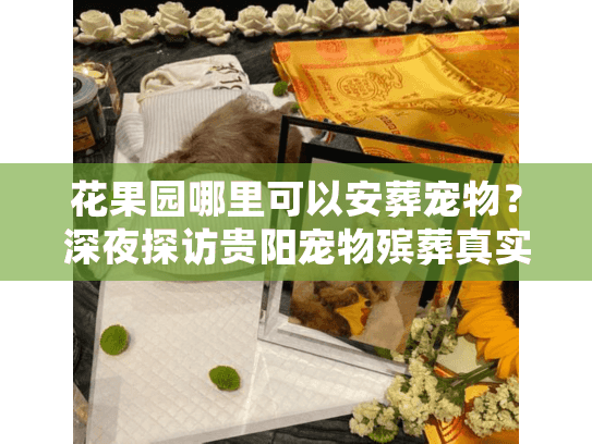 花果园哪里可以安葬宠物？深夜探访贵阳宠物殡葬真实门道