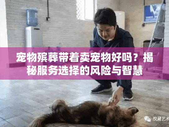 宠物殡葬带着卖宠物好吗？揭秘服务选择的风险与智慧
