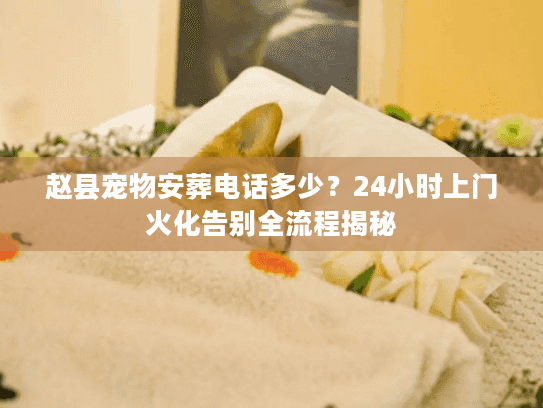 赵县宠物安葬电话多少？24小时上门火化告别全流程揭秘