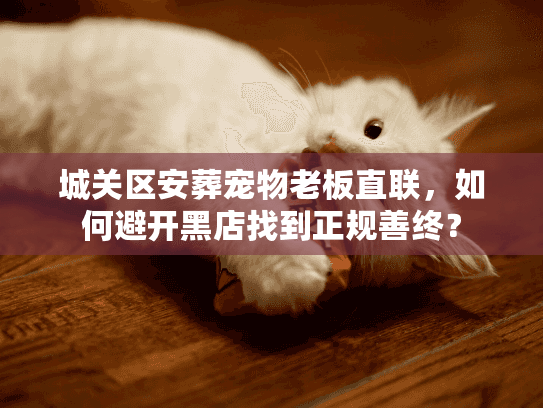 城关区安葬宠物老板直联，如何避开黑店找到正规善终？