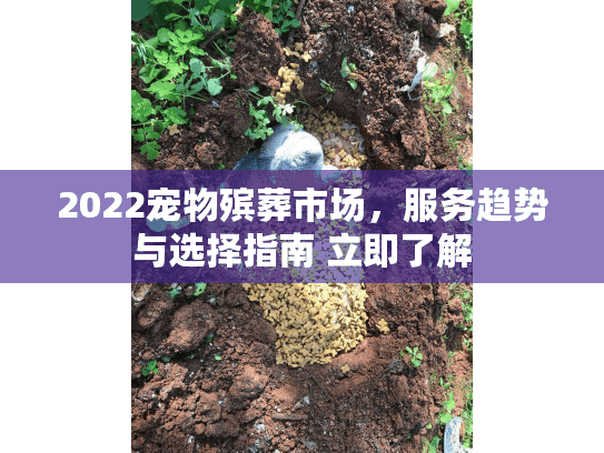 2022宠物殡葬市场，服务趋势与选择指南 立即了解