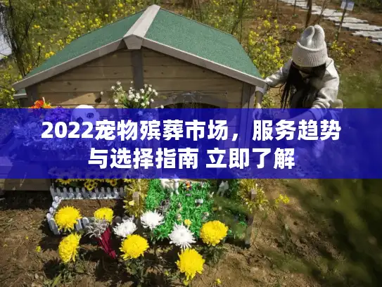 2022宠物殡葬市场，服务趋势与选择指南 立即了解