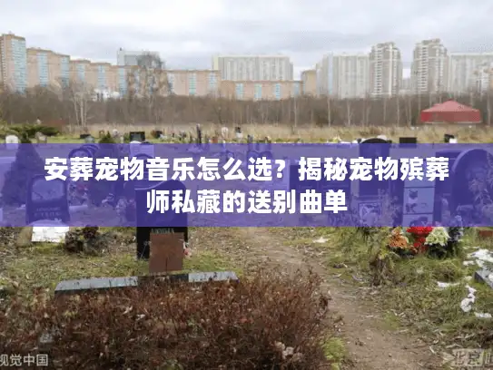 安葬宠物音乐怎么选?揭秘宠物殡葬师私藏的送别曲单 安葬宠物音乐怎么选?揭秘宠物殡葬师私藏的送别曲单