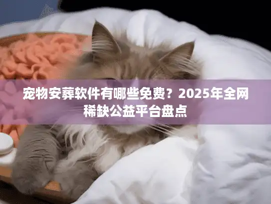 宠物安葬软件有哪些免费？2025年全网稀缺公益平台盘点