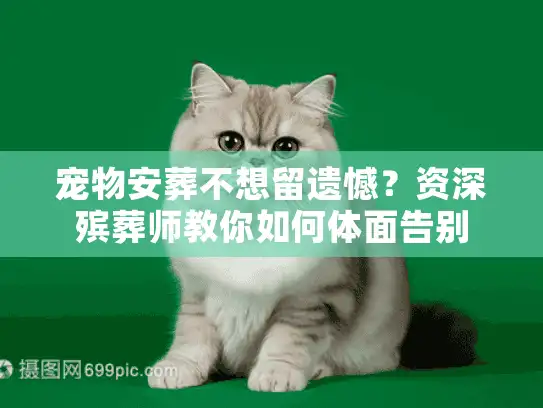 宠物安葬不想留遗憾？资深殡葬师教你如何体面告别