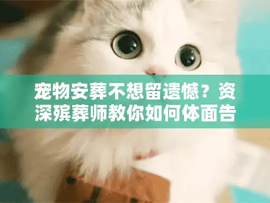 宠物安葬不想留遗憾？资深殡葬师教你如何体面告别