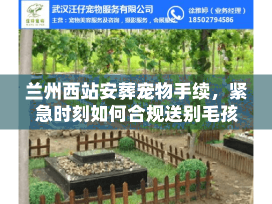 兰州西站安葬宠物手续，紧急时刻如何合规送别毛孩子？