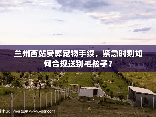 兰州西站安葬宠物手续，紧急时刻如何合规送别毛孩子？