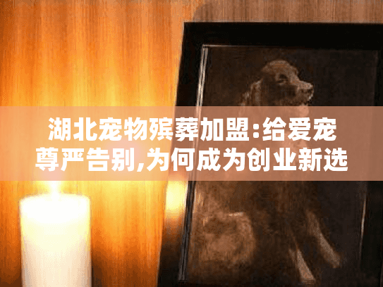 湖北宠物殡葬加盟:给爱宠尊严告别,为何成为创业新选择?