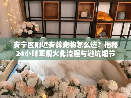 安宁区附近安葬宠物怎么选？揭秘24小时正规火化流程与避坑细节