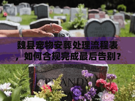 魏县宠物安葬处理流程表，如何合规完成最后告别？