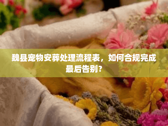 魏县宠物安葬处理流程表，如何合规完成最后告别？