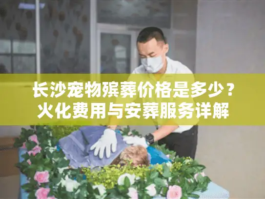 长沙宠物殡葬价格是多少？火化费用与安葬服务详解