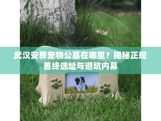 武汉安葬宠物公墓在哪里？揭秘正规善终选址与避坑内幕