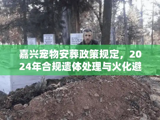 嘉兴宠物安葬政策规定，2024年合规遗体处理与火化避坑