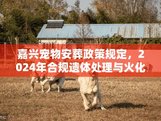 嘉兴宠物安葬政策规定，2024年合规遗体处理与火化避坑