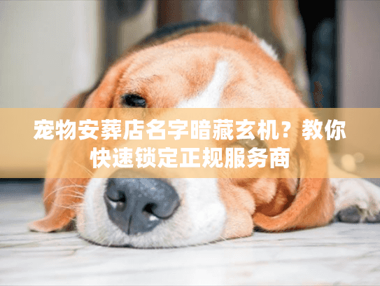 宠物安葬店名字暗藏玄机?教你快速锁定正规服务商 宠物安葬店名字暗藏玄机?教你快速锁定正规服务商