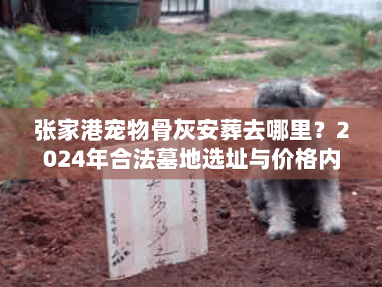 张家港宠物骨灰安葬去哪里?2024年合法墓地选址与价格内幕 张家港宠物骨灰安葬去哪里?2024年合法墓地选址与价格内幕