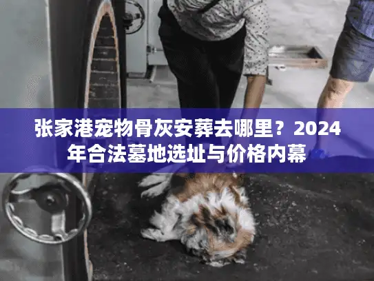 张家港宠物骨灰安葬去哪里?2024年合法墓地选址与价格内幕 张家港宠物骨灰安葬去哪里?2024年合法墓地选址与价格内幕