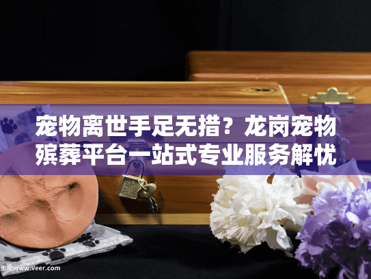 宠物离世手足无措？龙岗宠物殡葬平台一站式专业服务解忧