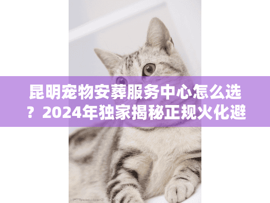 昆明宠物安葬服务中心怎么选？2024年独家揭秘正规火化避坑细节