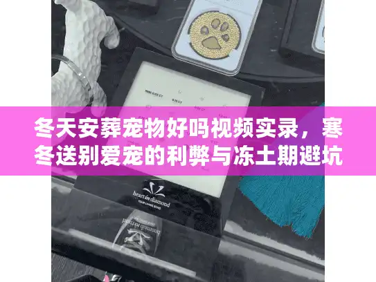 冬天安葬宠物好吗视频实录，寒冬送别爱宠的利弊与冻土期避坑术