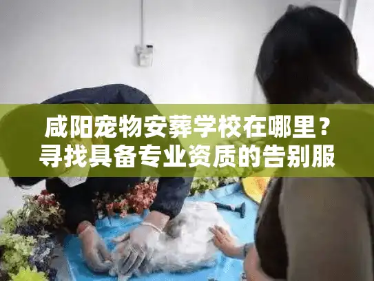 咸阳宠物安葬学校在哪里？寻找具备专业资质的告别服务
