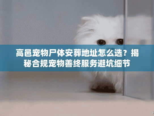 高邑宠物尸体安葬地址怎么选？揭秘合规宠物善终服务避坑细节