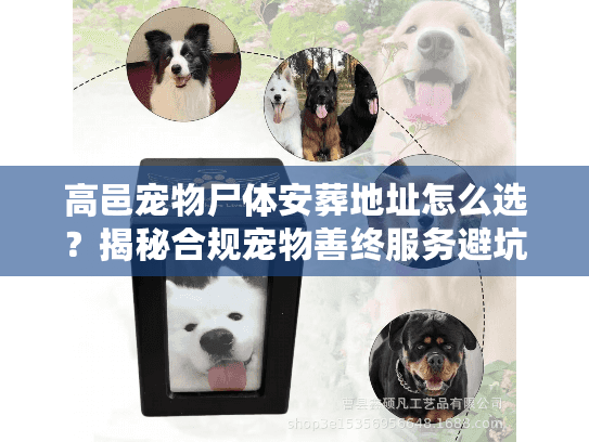 高邑宠物尸体安葬地址怎么选？揭秘合规宠物善终服务避坑细节
