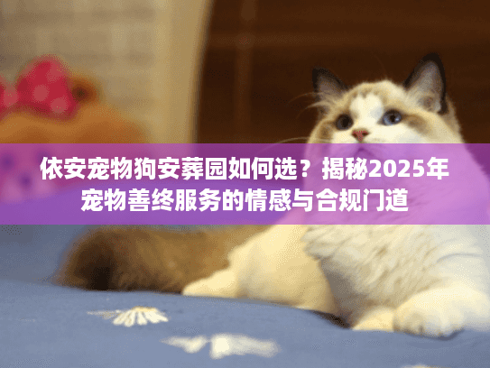 依安宠物狗安葬园如何选?揭秘2025年宠物善终服务的情感与合规门道 依安宠物狗安葬园如何选?揭秘2025年宠物善终服务的情感与合规门道