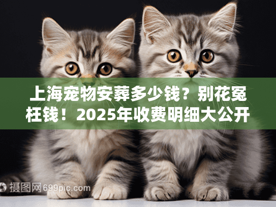 上海宠物安葬多少钱？别花冤枉钱！2025年收费明细大公开