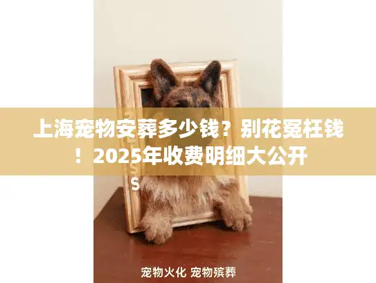 上海宠物安葬多少钱？别花冤枉钱！2025年收费明细大公开