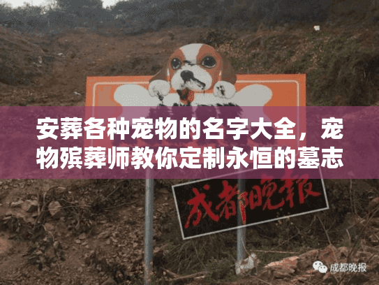 安葬各种宠物的名字大全，宠物殡葬师教你定制永恒的墓志铭